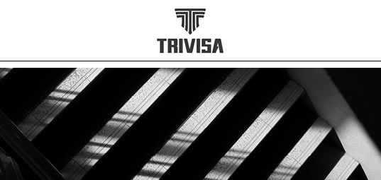 Trivisa