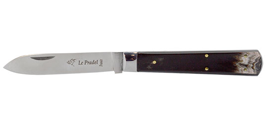 Le Pradel