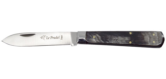 Le Pradel
