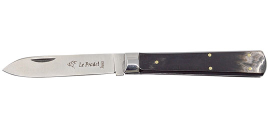 Le Pradel